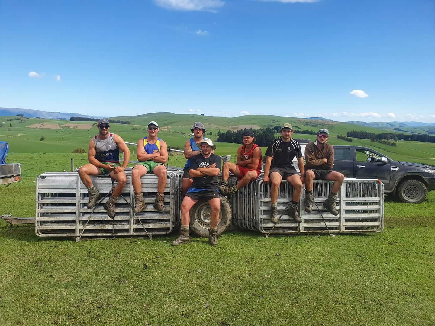 sheep contracting team Southland Otago farm crew on paddock