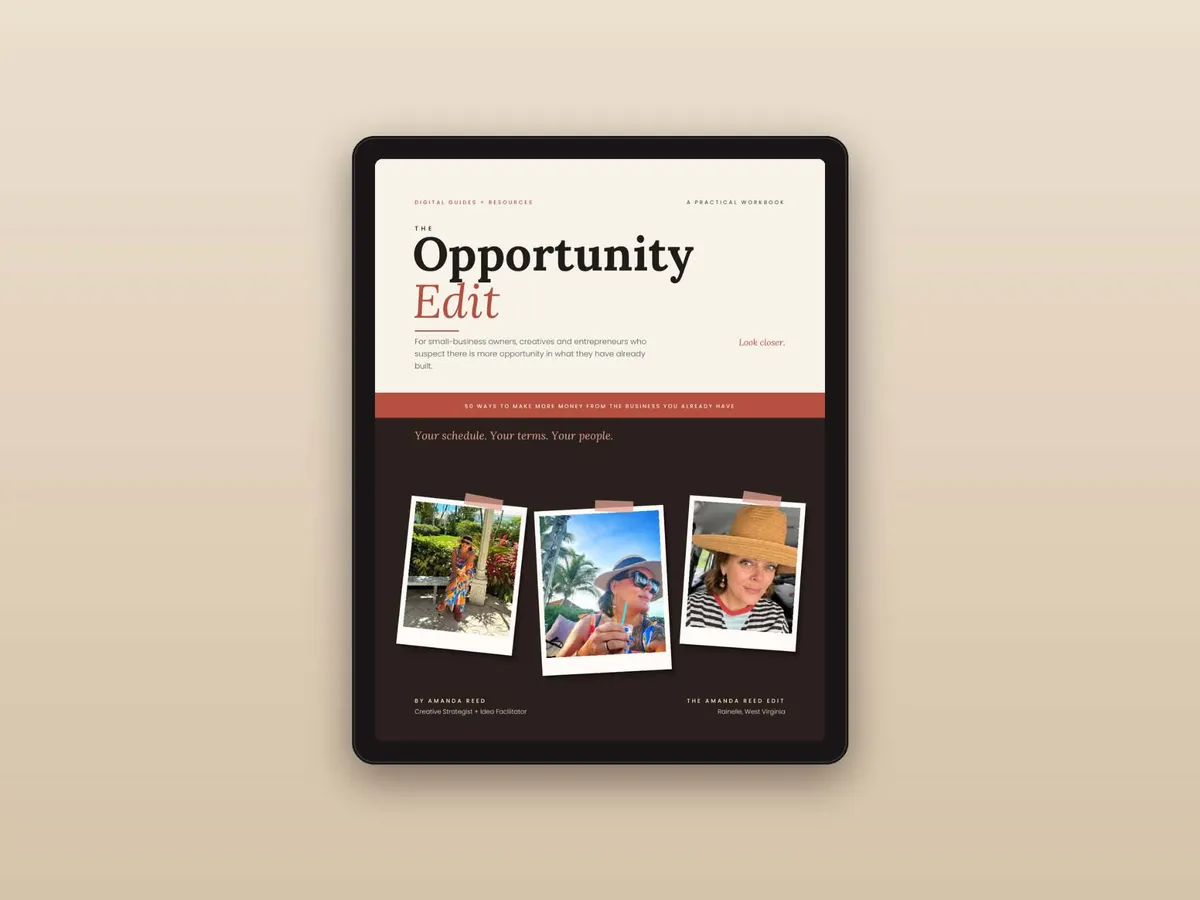 The Opportunity Edit - Digital Guide and Resource Mockup