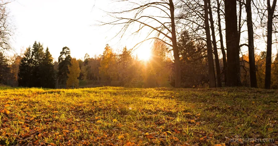Grace for Your Body When the Seasons Change