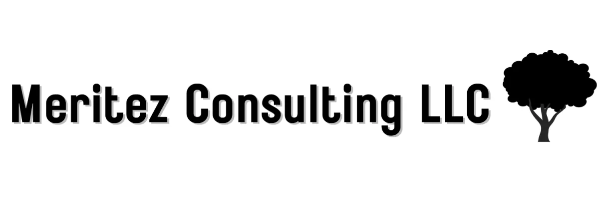 Meritez Consulting LLC Logo