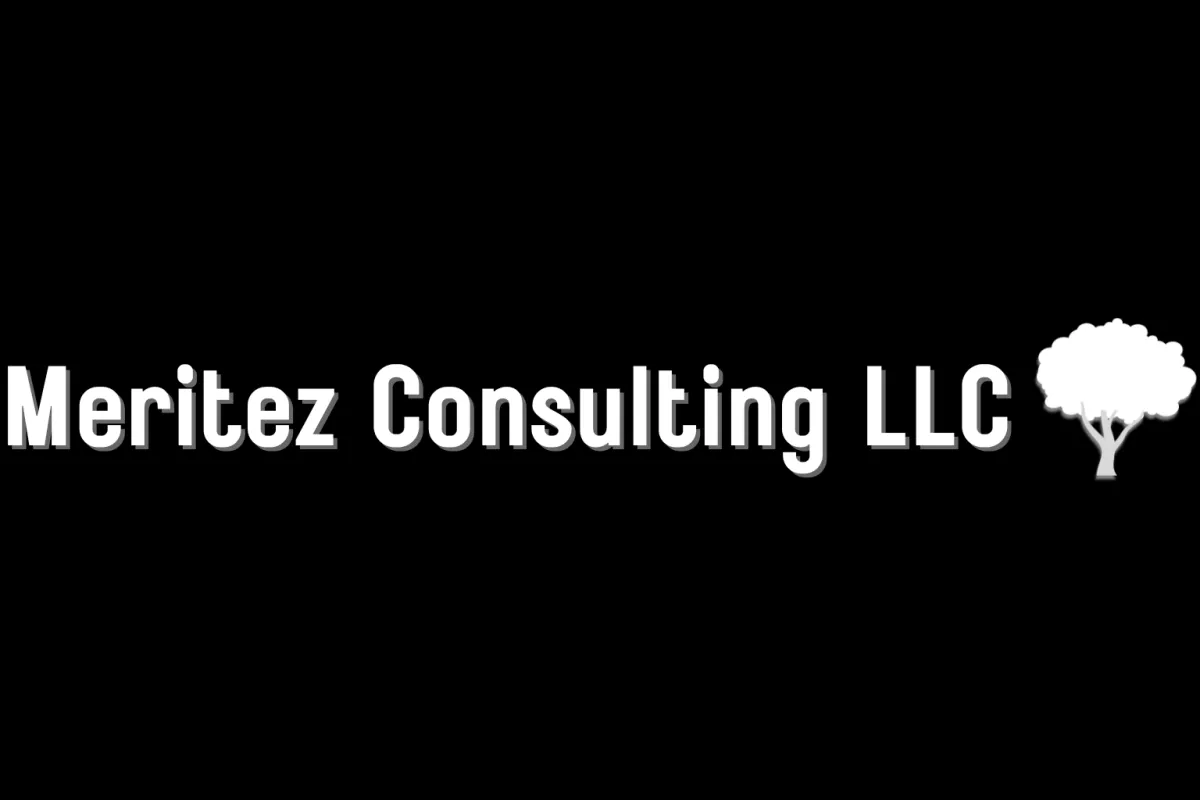 Meritez Digital LLC Logo