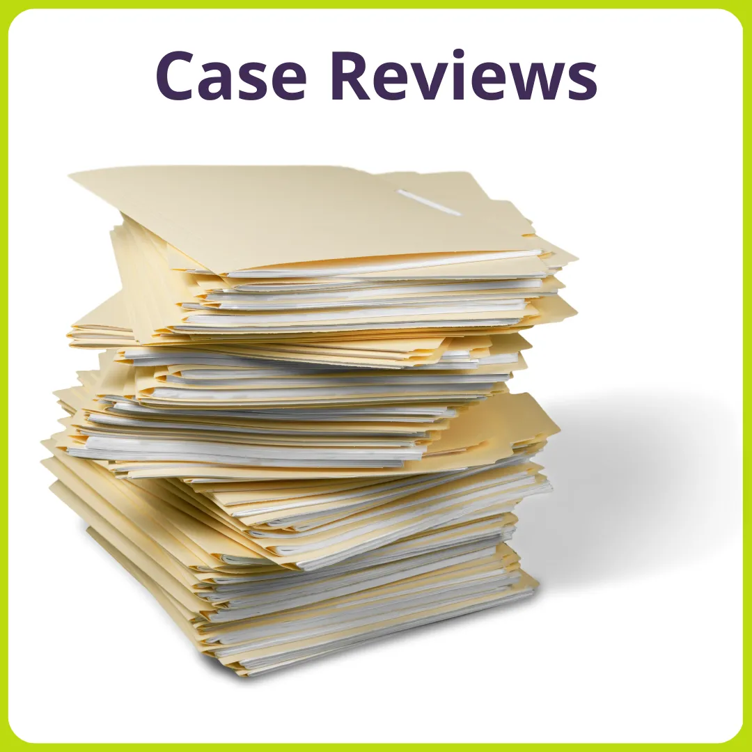 safeguarding case reviews