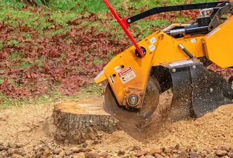 Stump grinding and debris removal service by Carol Stream Tree Care.