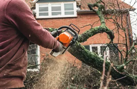 Arborist with chainsaw cutting fallen tree branch near home by Carol Stream Tree Care.