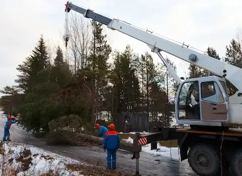 Crane-assisted large tree removal in winter by Carol Stream Tree Care.