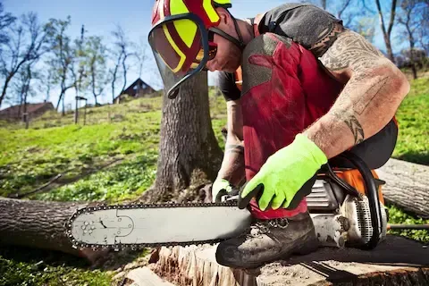 Arborist sharpening chainsaw for tree work at Carol Stream Tree Care.
