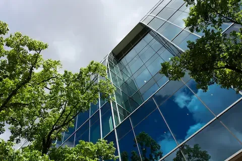 Modern glass office building surrounded by green trees under cloudy sky – Carol Stream Tree Care