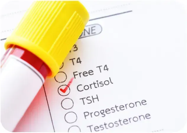 image showing hormones on a paper
