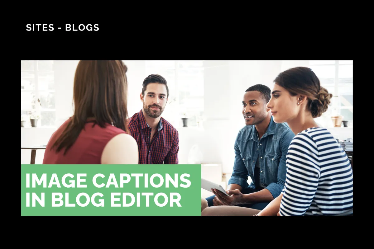 Image Captions in Blog Editor