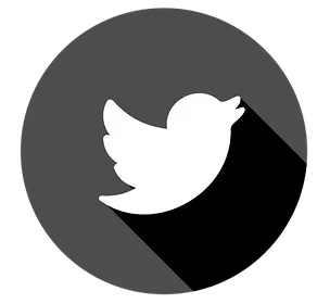 A black circular icon with a white silhouette of a bird, representing the Twitter logo, with a shadow effect.