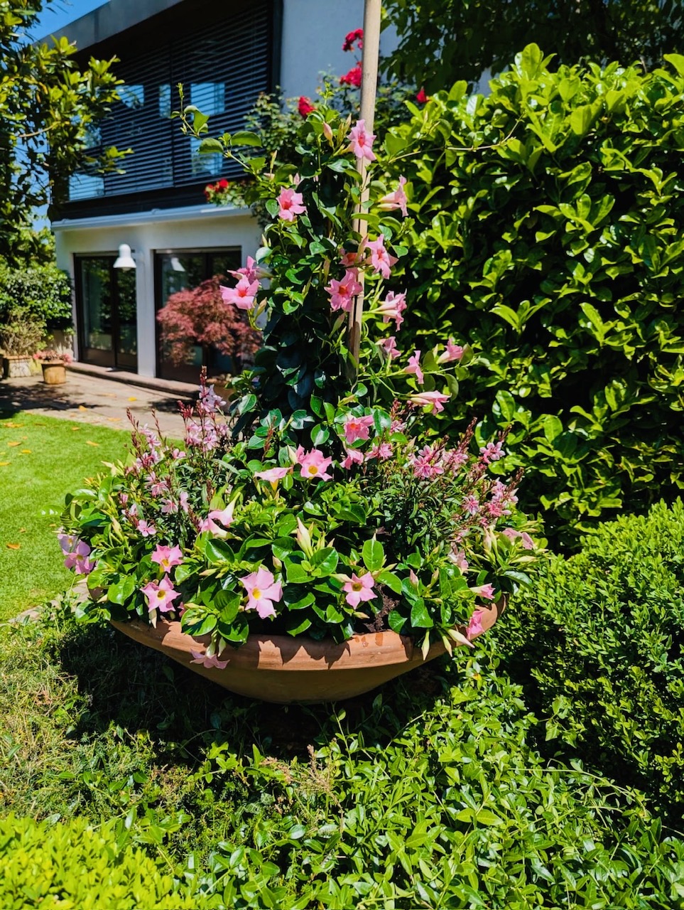 Teichlandschaft im Garten