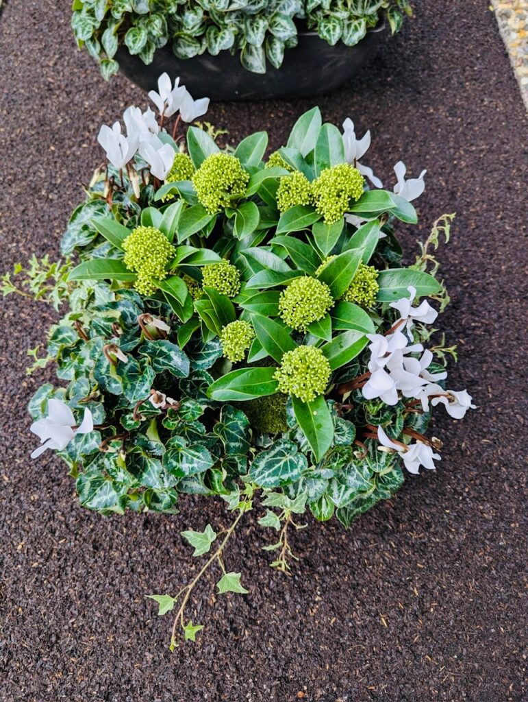 Grabpflege mit Blumen