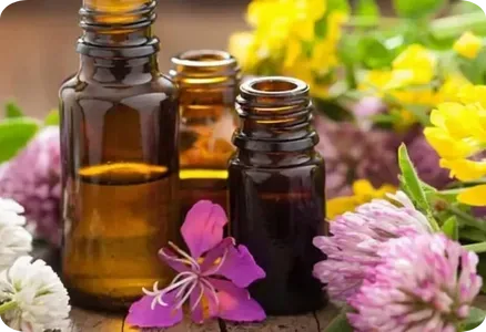 Flores de Bach