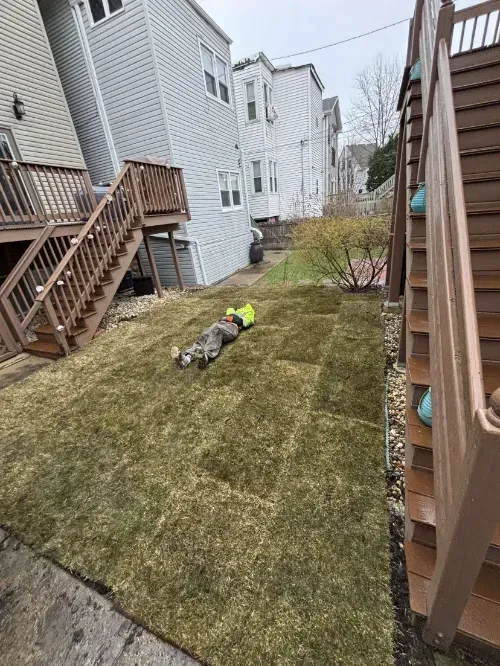 Andersonville Sod