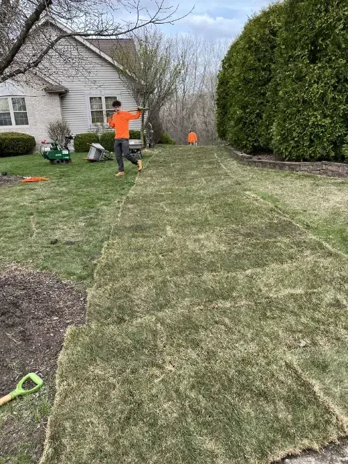 Lincoln Park Sod