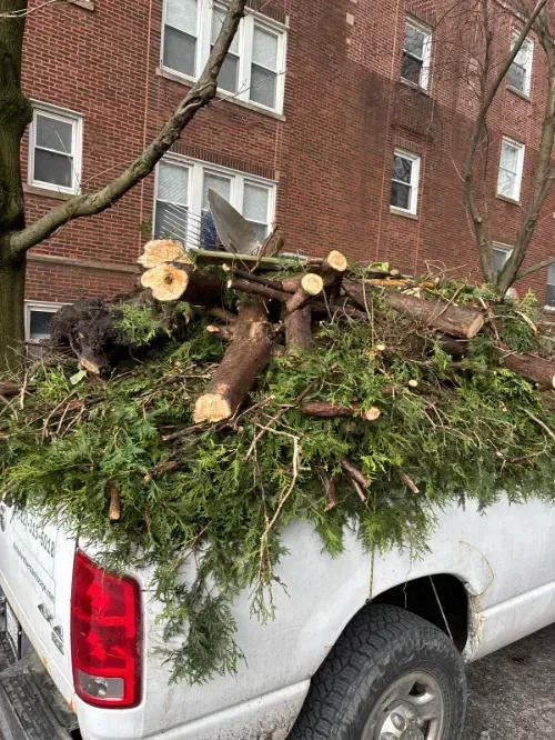 Uptown Lawn Maintenance