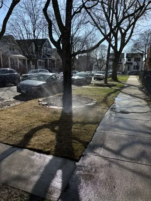 Lakeview Lawn Maintenance