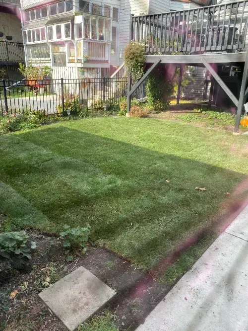 Irving Park Lawn Maintenance