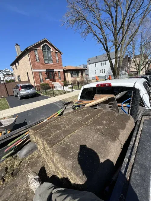 Lincoln Square Sod