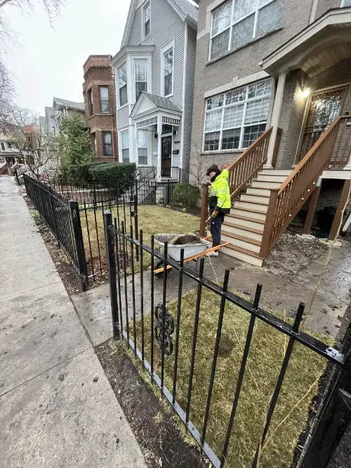 West Ridge Tree Removal