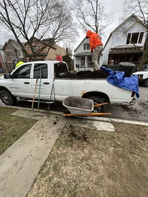 Lincoln Park Tree Removal