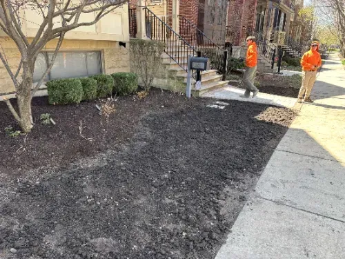 Ravenswood Tree Removal