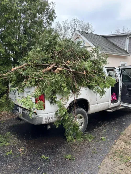 Albany Park Lawn Maintenance
