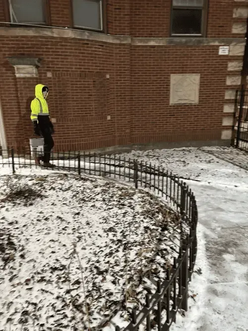 Lakeview Tree Removal