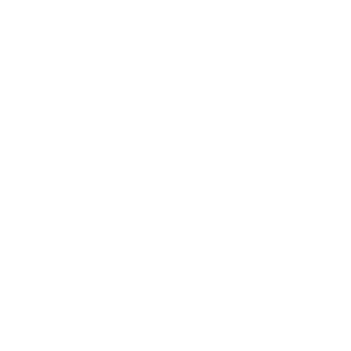 Logo Inmomentor