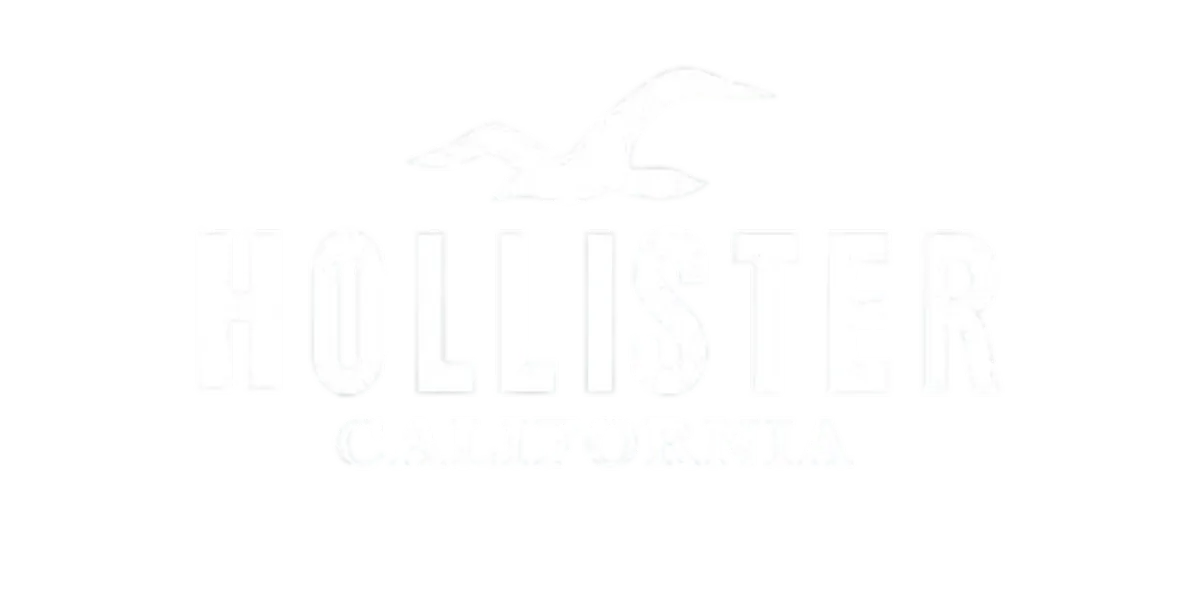 hollister  - fashion ecommerce SEO digital marketing agency growth profit