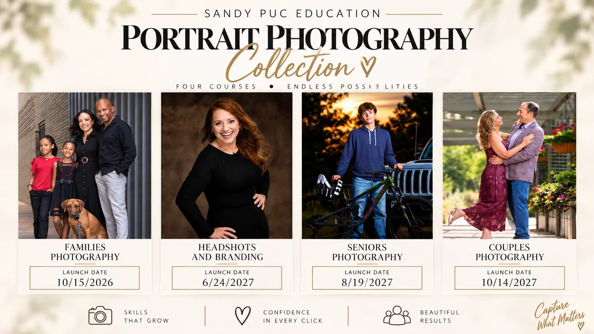 Profitable Studio Collection bundle graphic (replace this image)