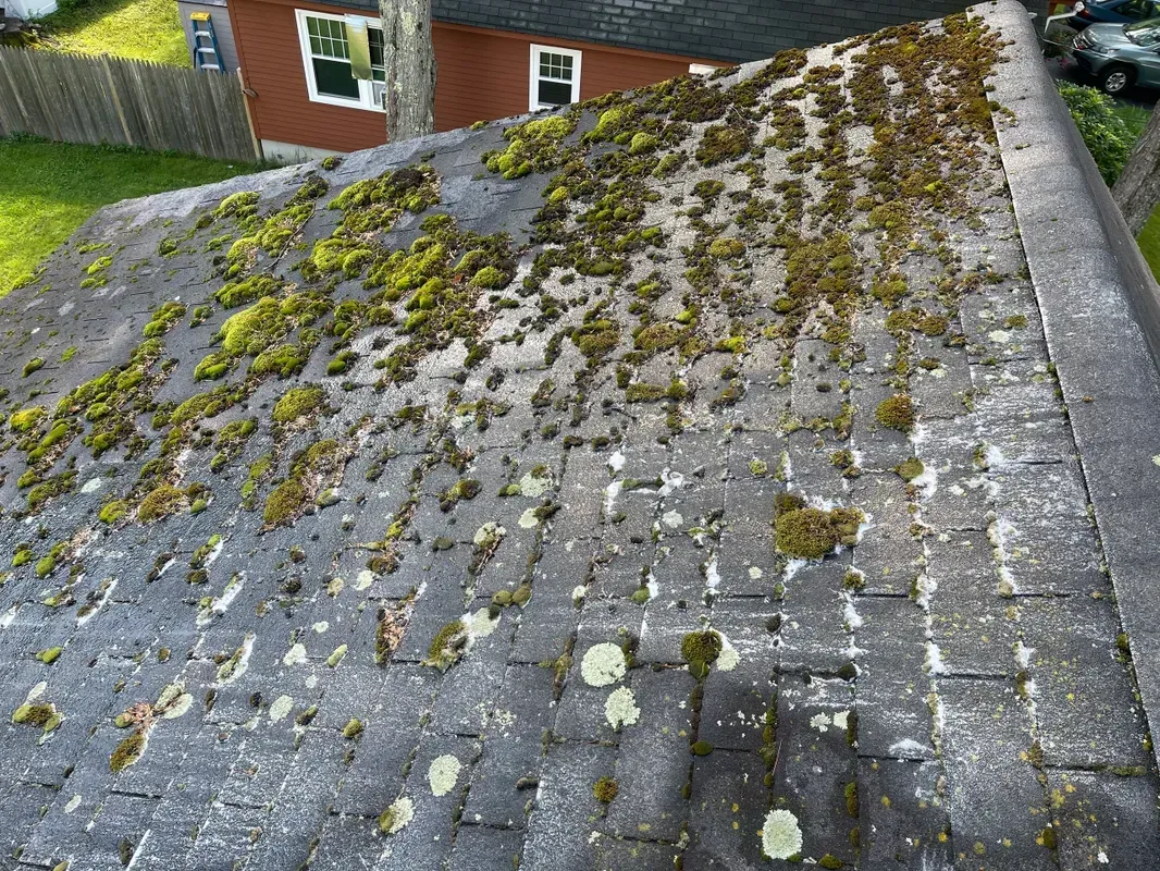 roof cleaning Rockford IL