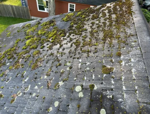 Roof Cleanin moss Removal Scarborough Maine