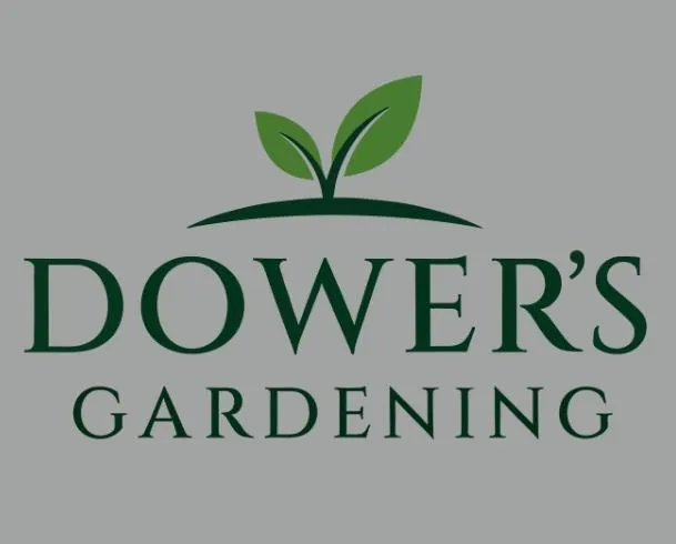 Tree Pruning Services Perth