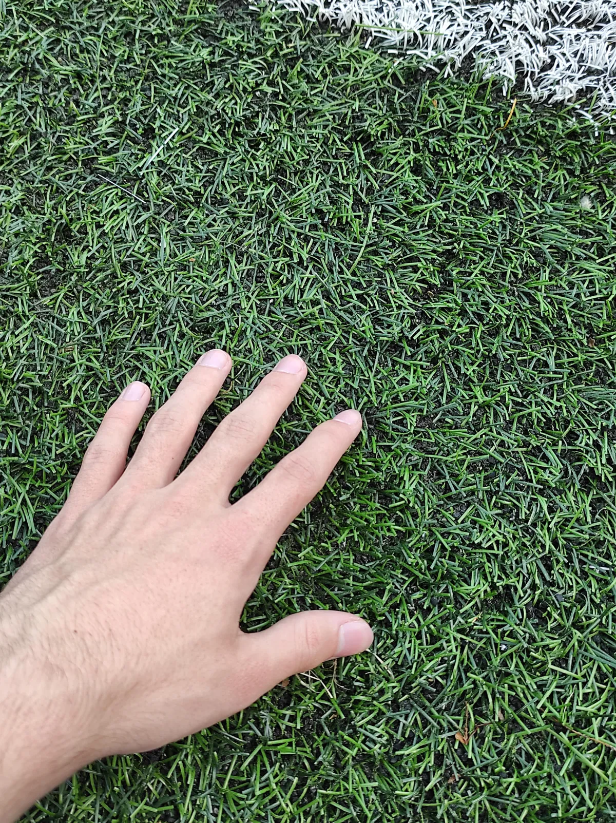 hand touching artificial grass