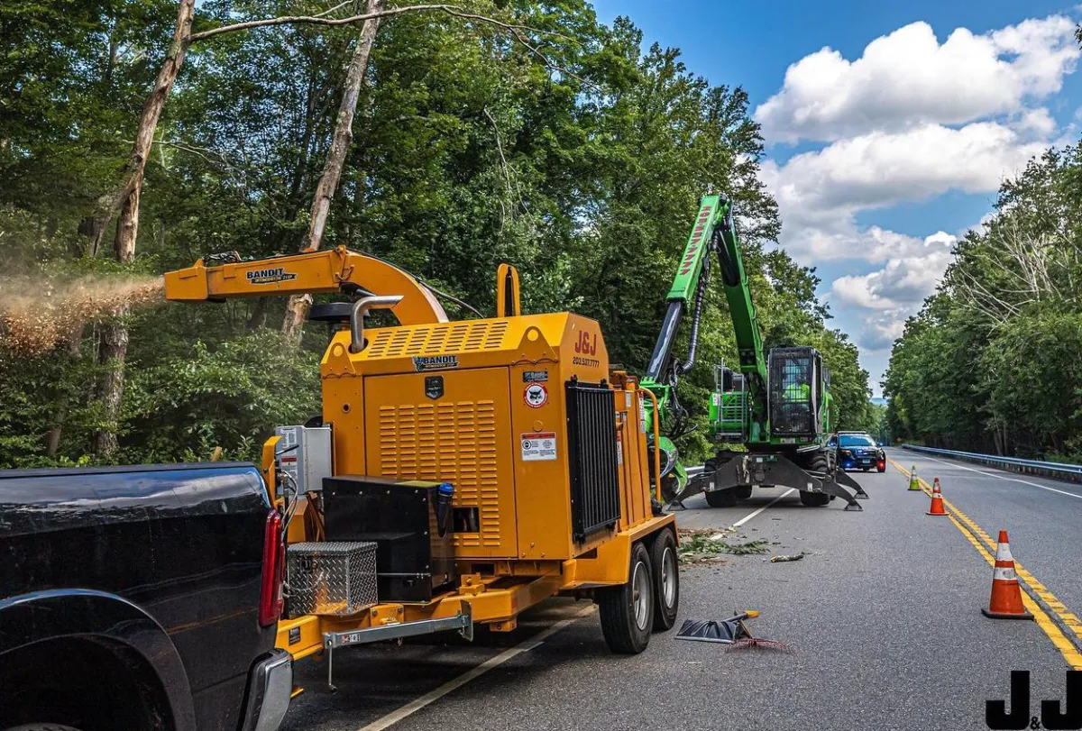 tree removal equipment
