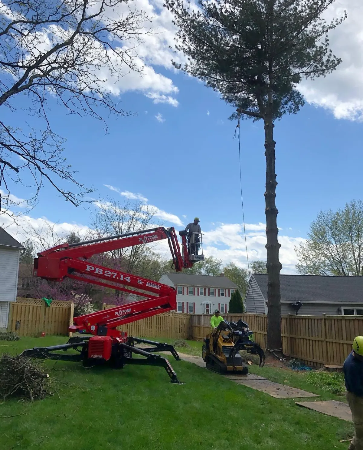 Arborists using top-notch machines for tree removal