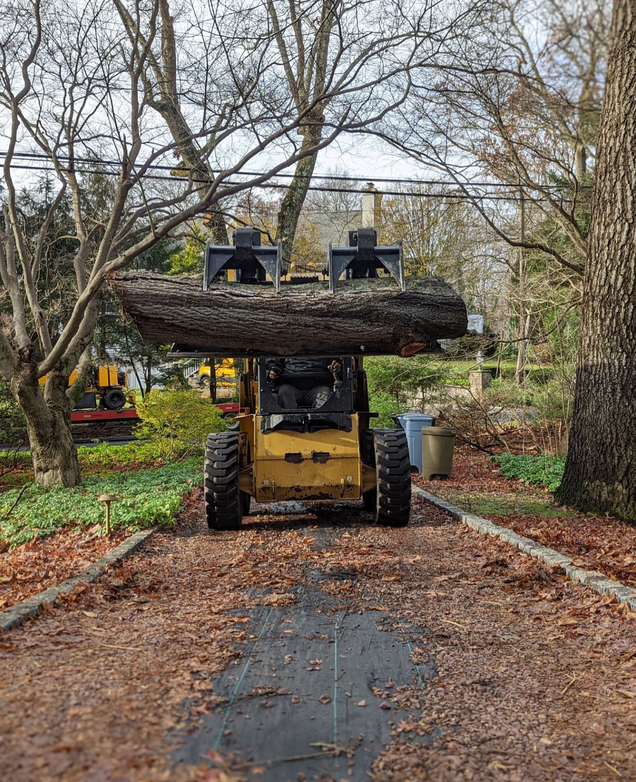 tractor carrying a tree trunk