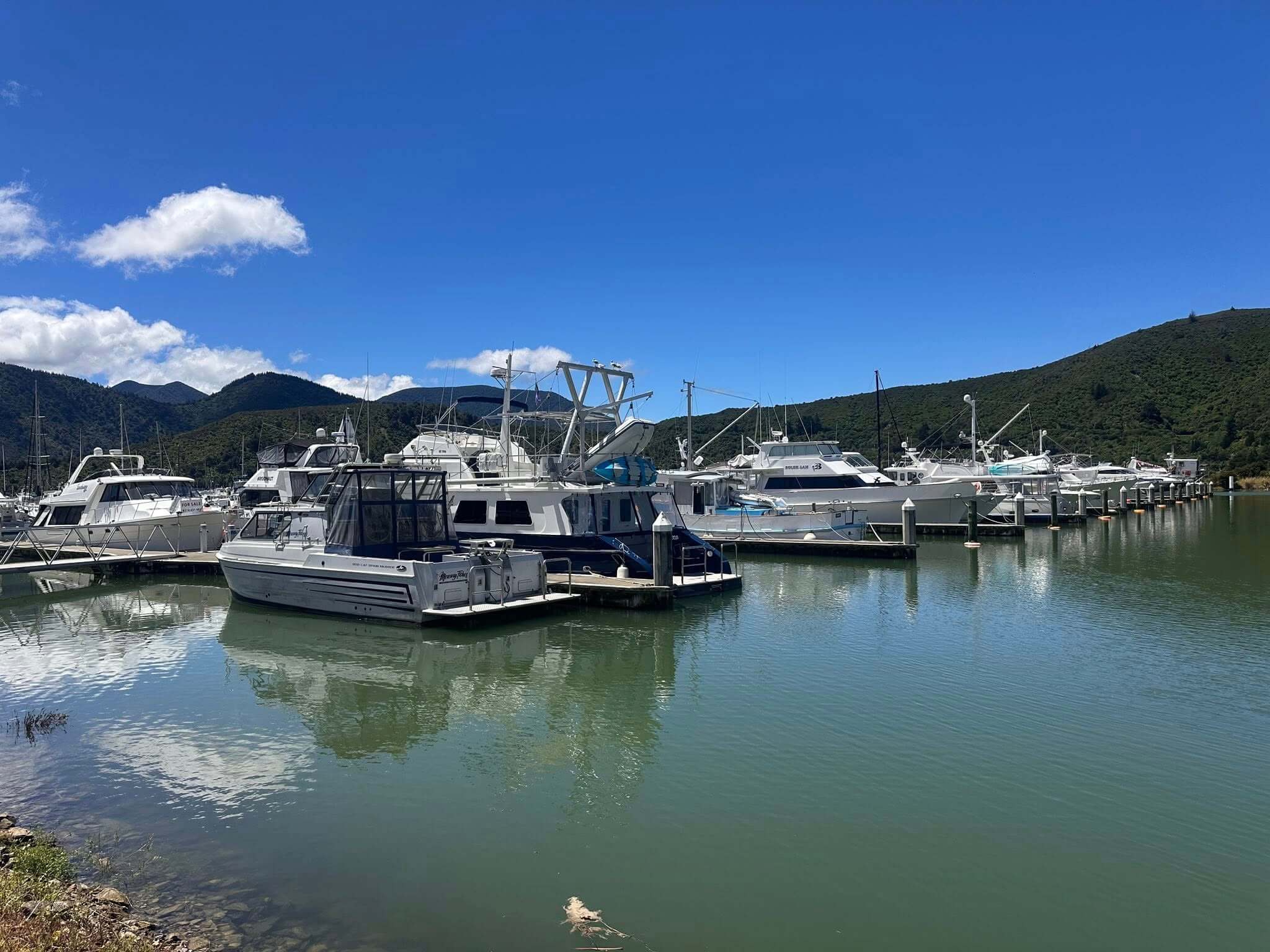 Boats at marina in Blenheim Marlborough New Zealand for electrical inspection