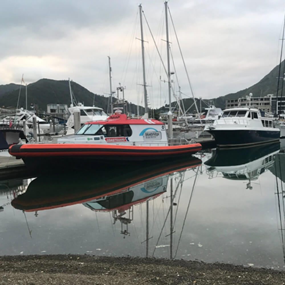 Boat Electrical Warrant of Fitness inspection at Blenheim marina New Zealand