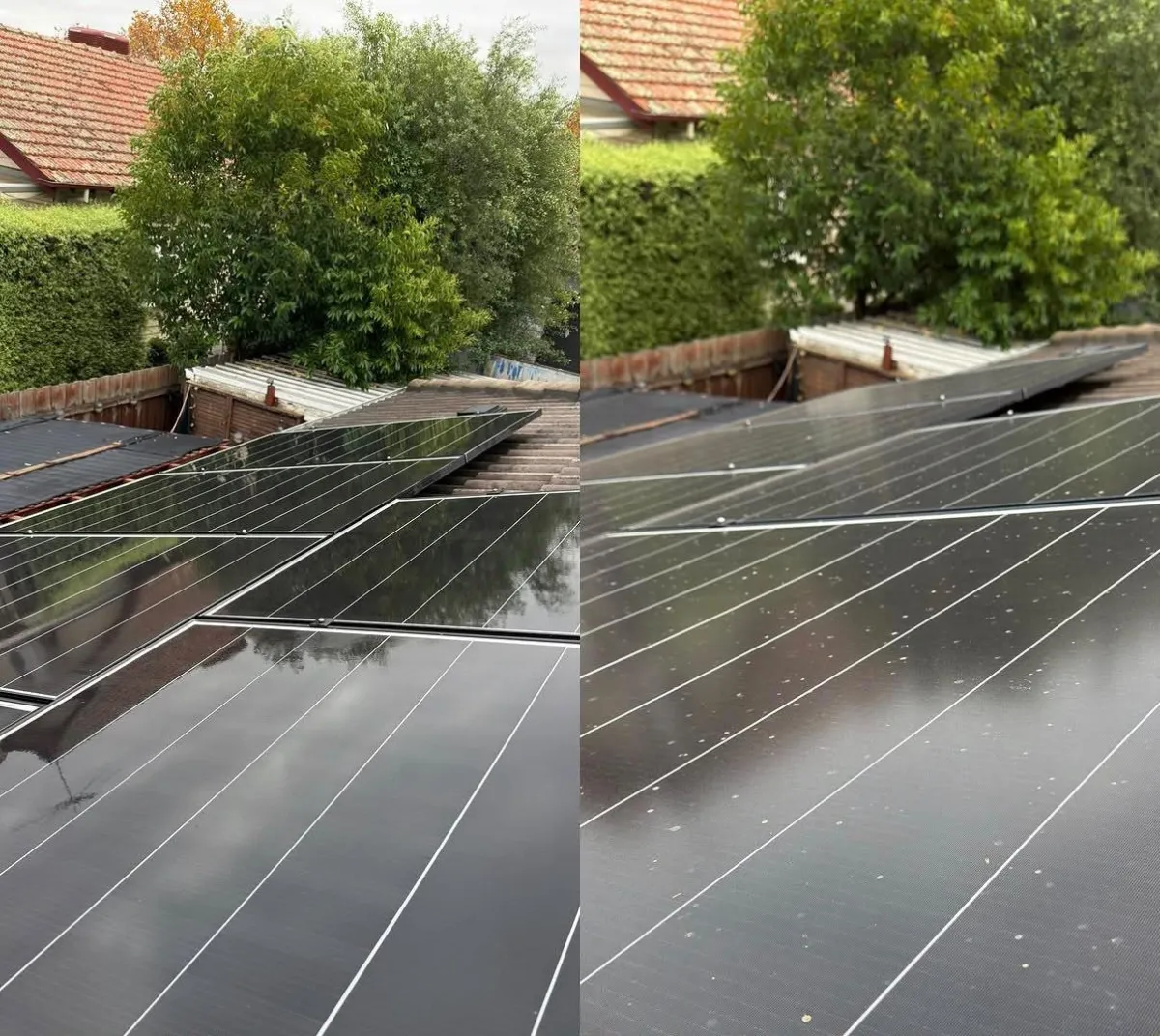 Gutter cleaning, solar panel cleaning and pigeon proofing on a double-storey home in Reservoir.