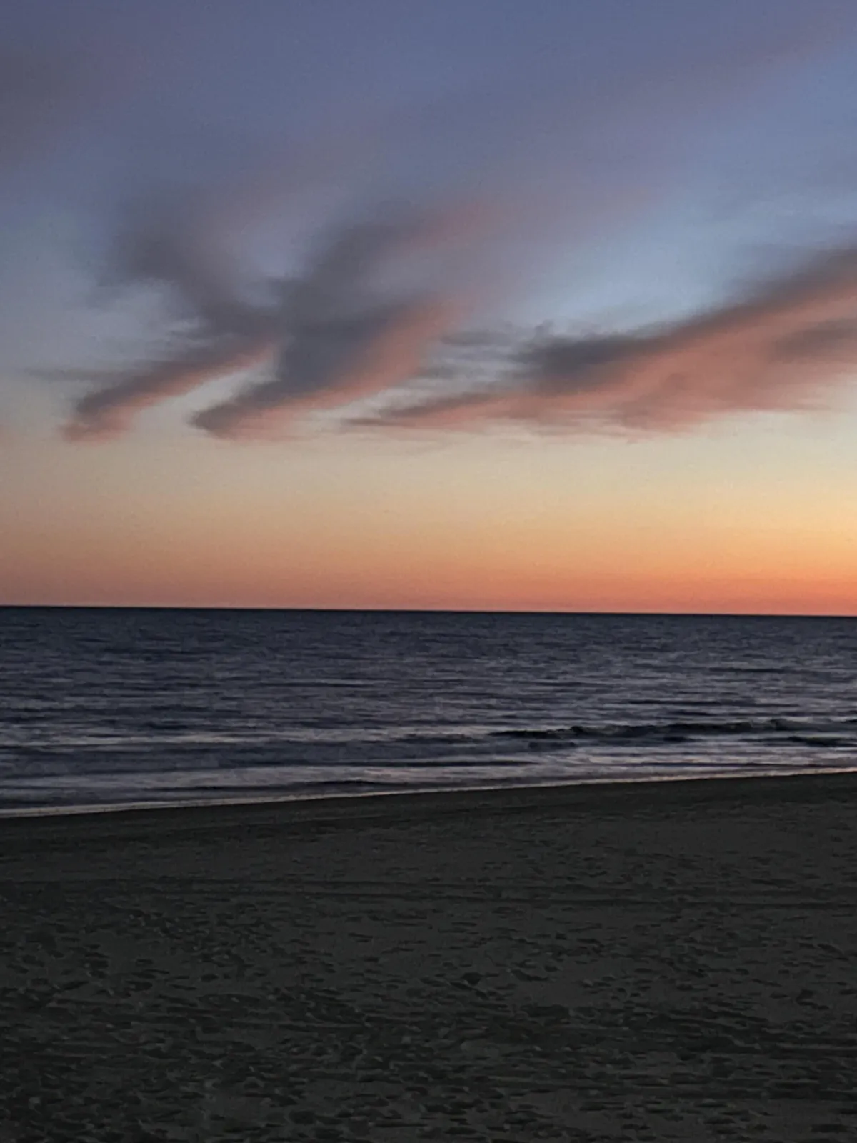 Tropical resort with pools and palm trees by the ocean