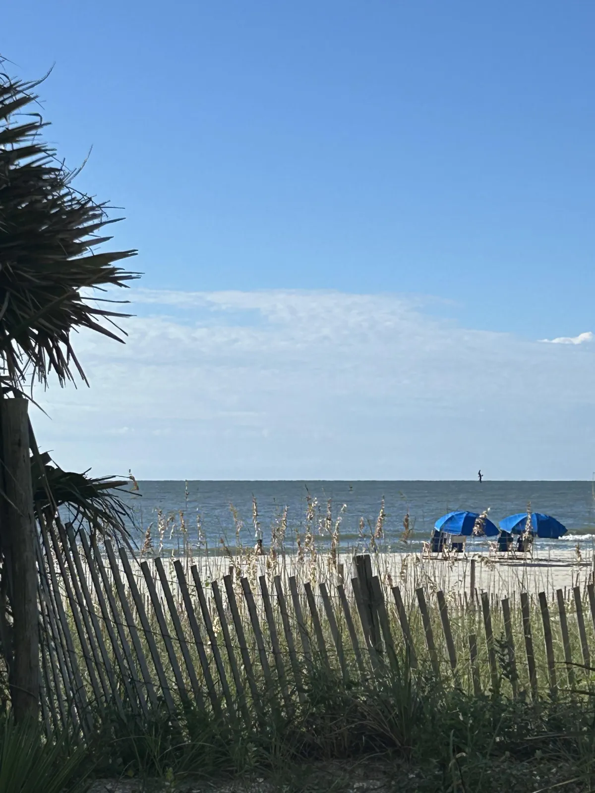 A woman standing in front of a large window with a view of the ocean