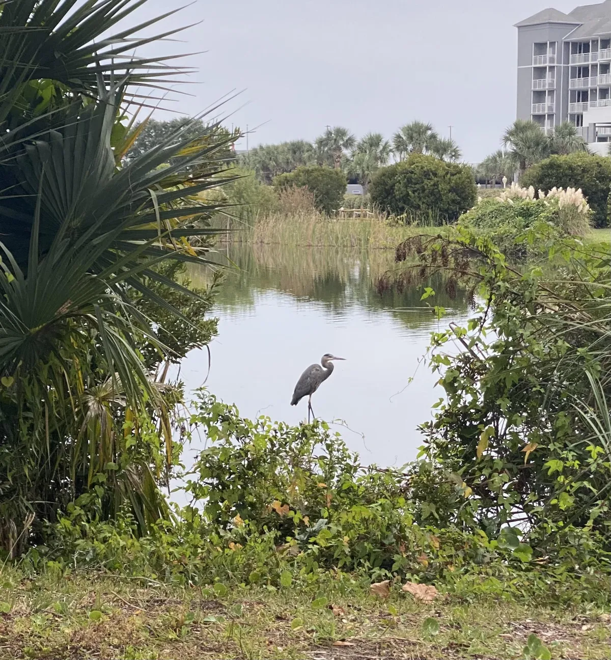brown and white concrete building