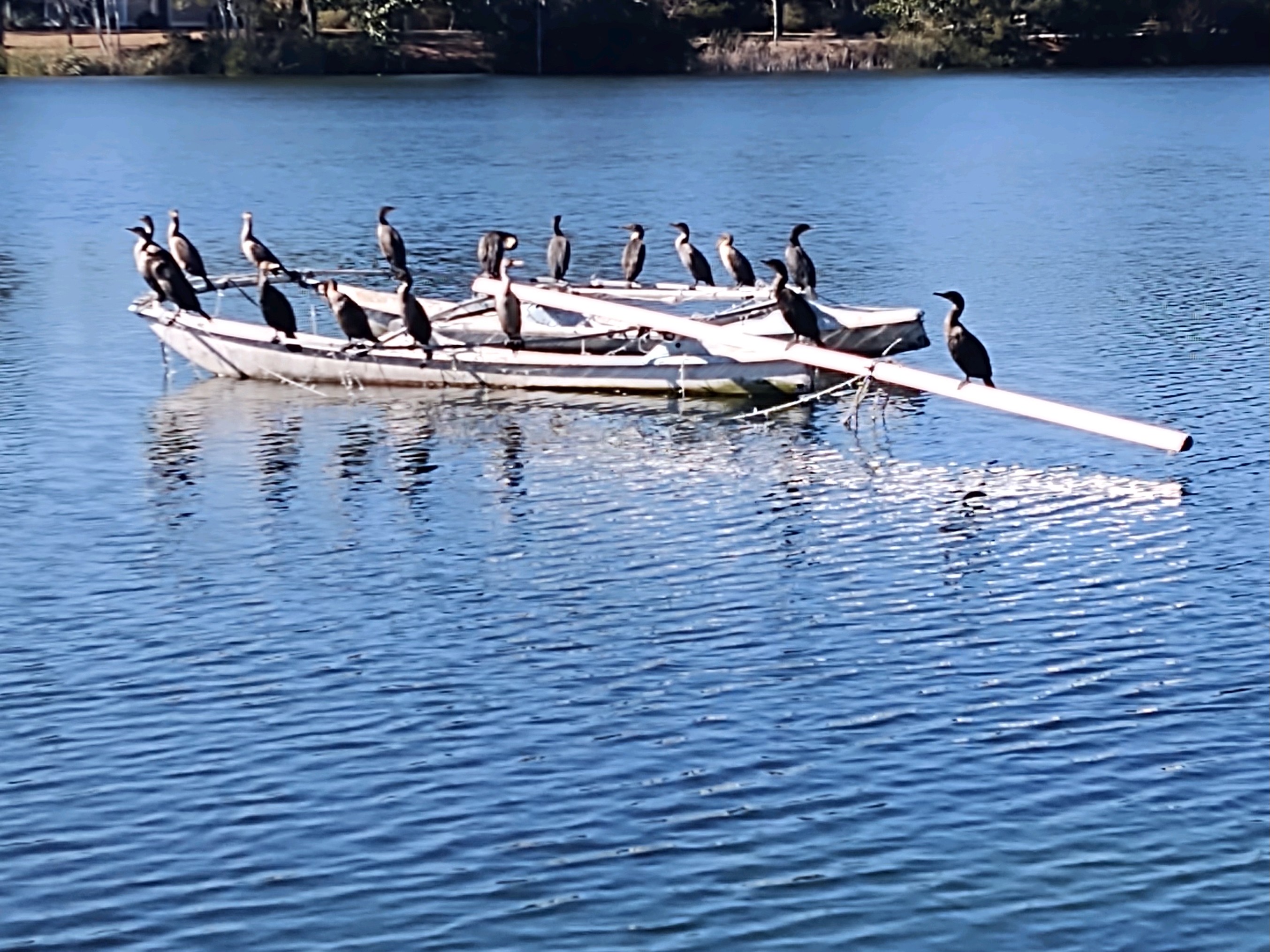A woman standing in front of a large window with a view of the ocean