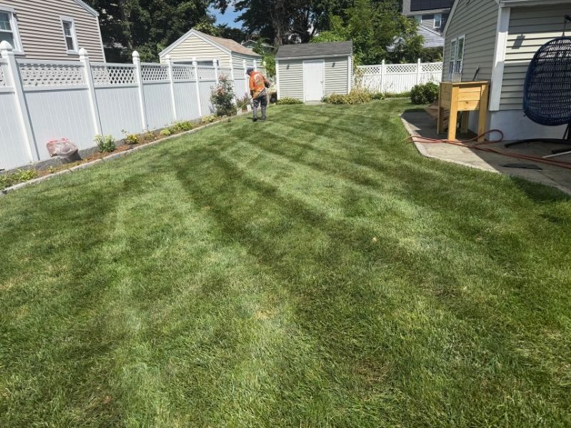 Professional lawn care maintenance services in Bridgeport, CT by Time To Cut Landscaping