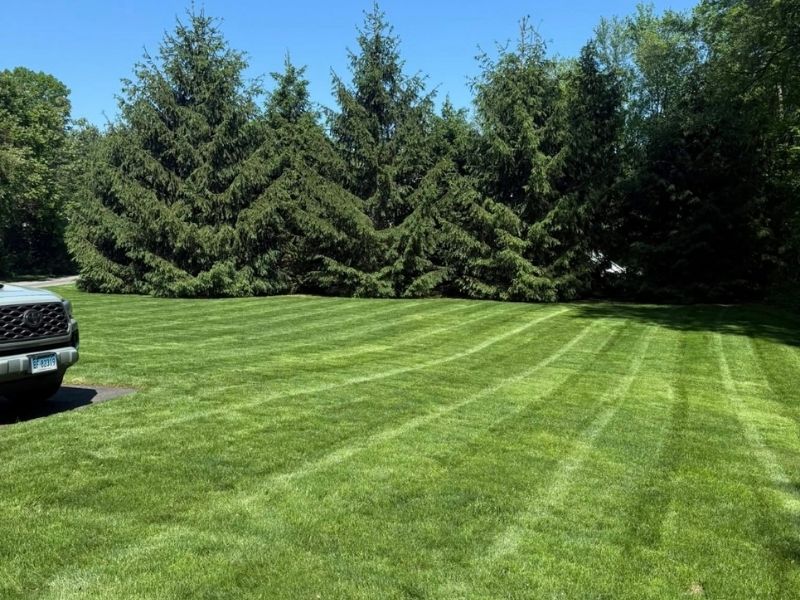 Professional weekly mowing services in Bridgeport, CT by Time To Cut Landscaping