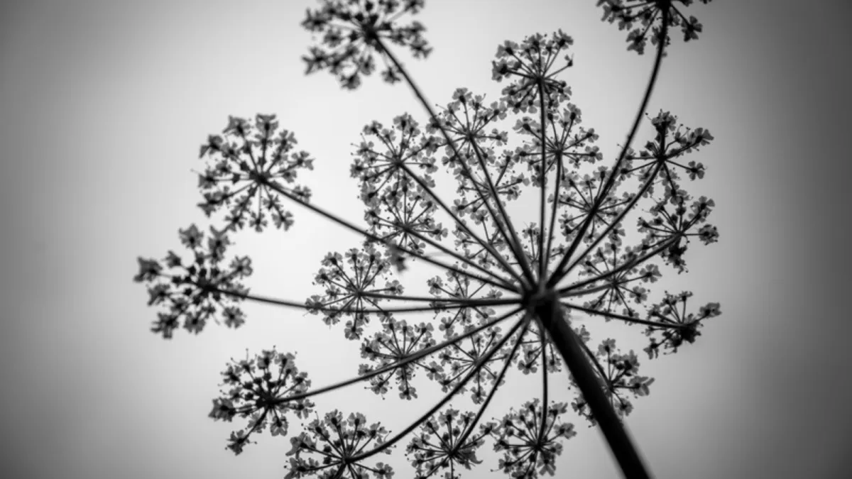 Simple Living Isn't About Doing Less - Creating Space Series #2