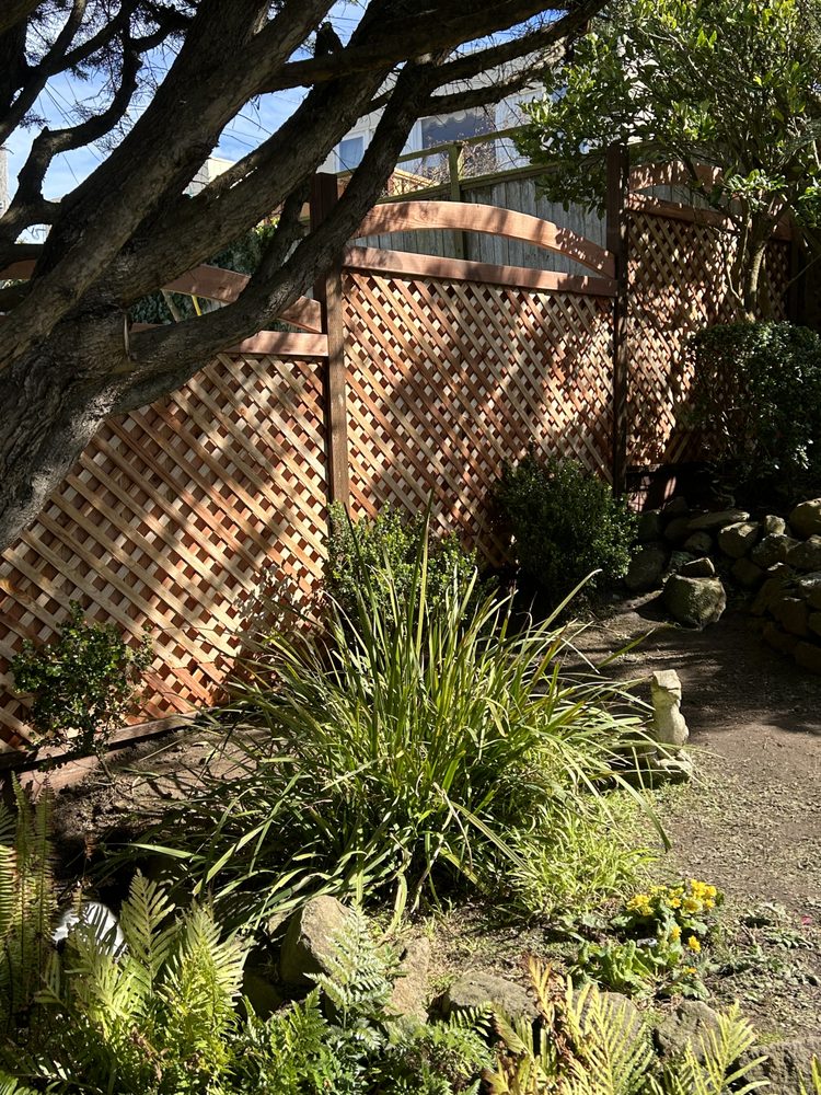 Beautiful Redwood fence restoration and garden landscaping in San Francisco