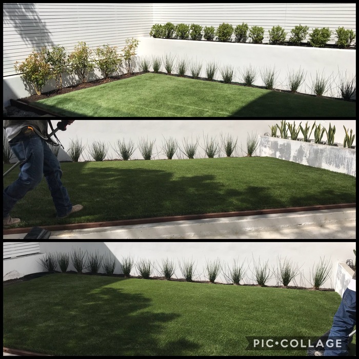 Custom Garden Beds and Turf in an Fransisco